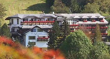 Hotel Schwarzwald Mangler 4*